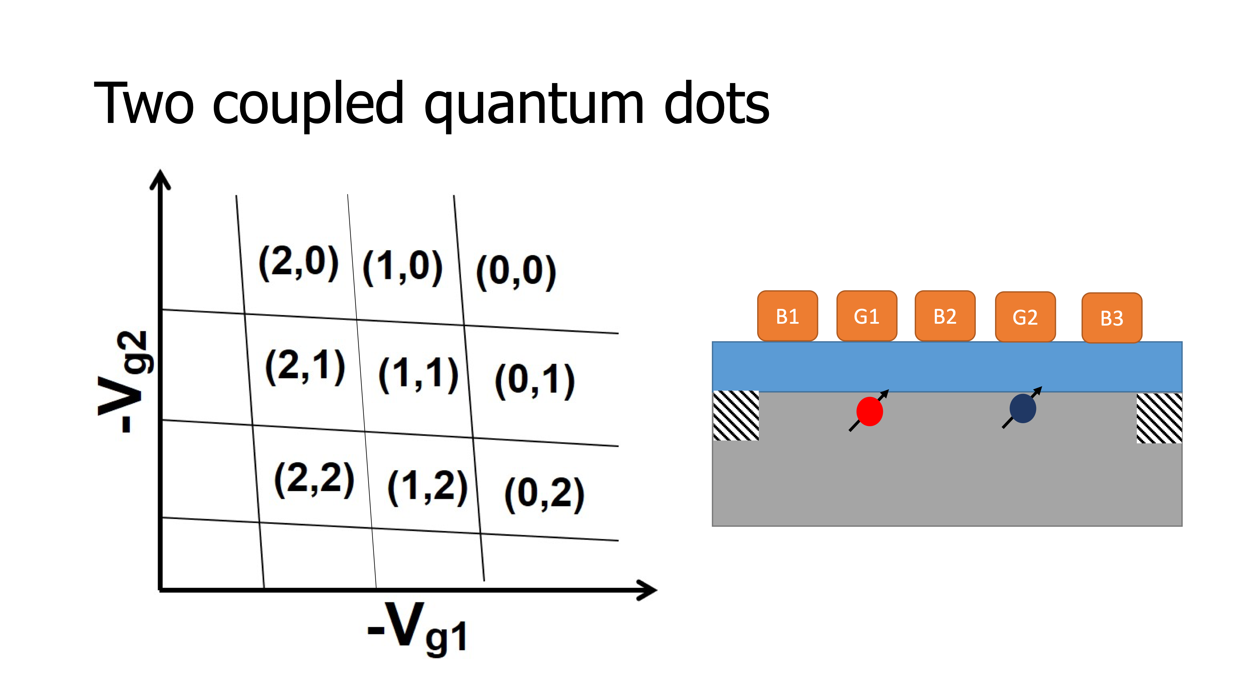 Quantum Network