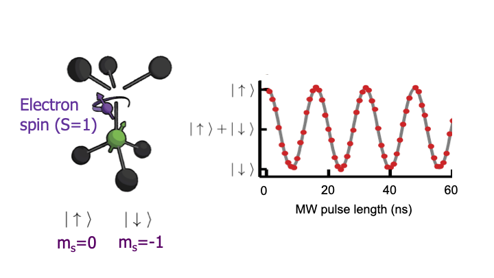 Quantum Ne